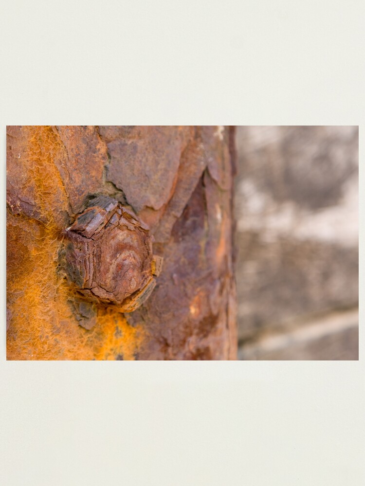 Thumbnail 1 of 3, Photographic Print, rusty bolt designed and sold by GDPhotos.