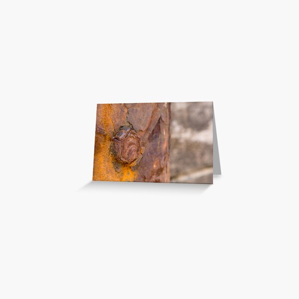 rusty bolt Greeting Card
