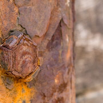 Artwork thumbnail, rusty bolt by Gail Davison