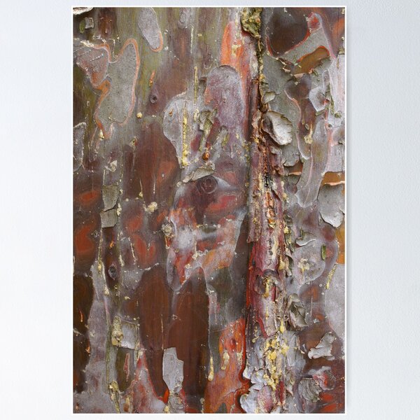 Item preview, Nature's abstract art designed and sold by CanDuCreations.