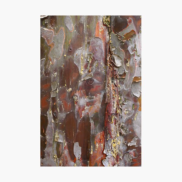 Item preview, Nature's abstract art designed and sold by CanDuCreations.