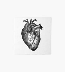 PHD Heart Throb Art Board