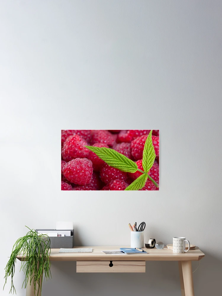 Thumbnail 2 of 3, Poster, SALE!!! Raspberry! designed and sold by Vitalia.