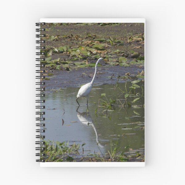 Item preview, Great White Egret designed and sold by amzani.