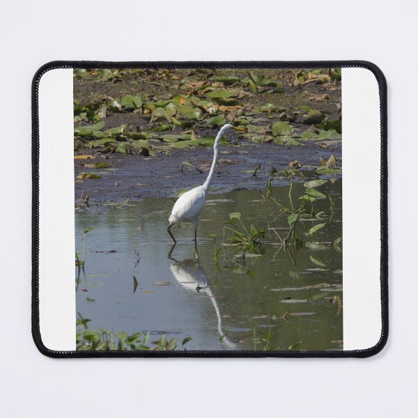 Item preview, Great White Egret designed and sold by amzani.