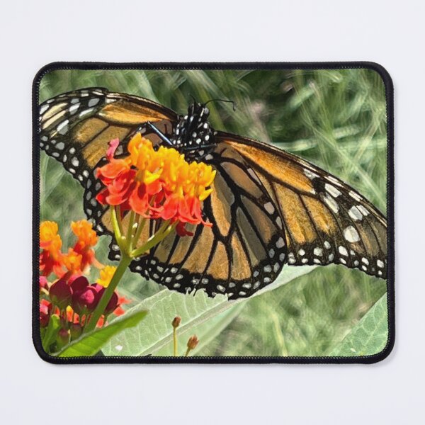 Item preview, Monarch Butterfly designed and sold by Sonya Umble.