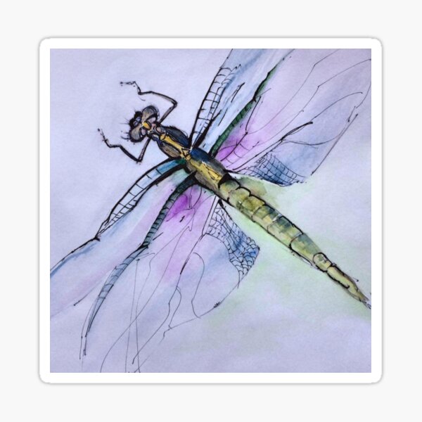 Pretty Dragonfly Sticker