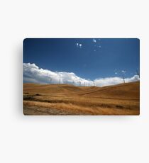 Dry Dry Dry Canvas Print