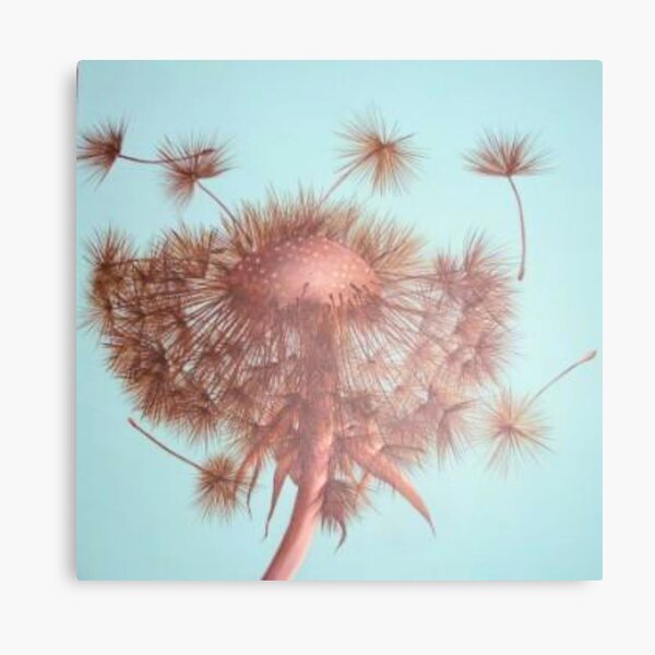 Dandelion wishes Canvas Print