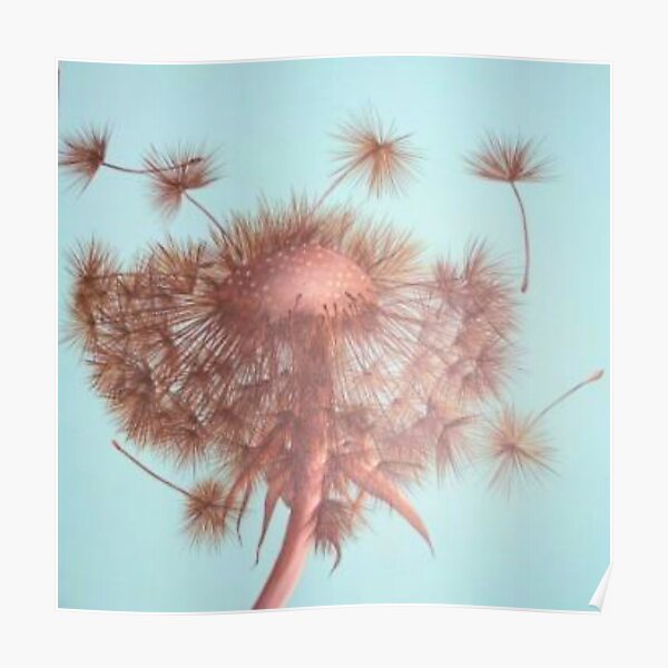 Dandelion wishes Poster