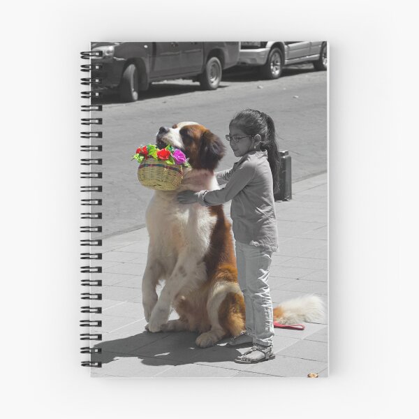 Item preview, Cuenca Kids 952 designed and sold by alabca.