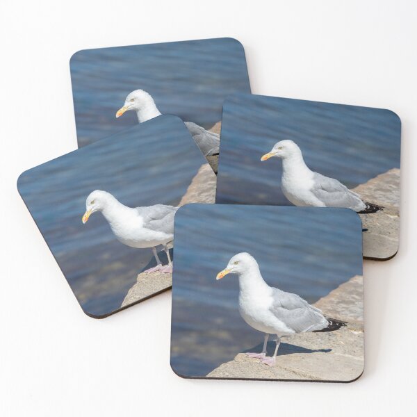 Item preview, European Herring Gull Adult designed and sold by Tanya C  Smith.