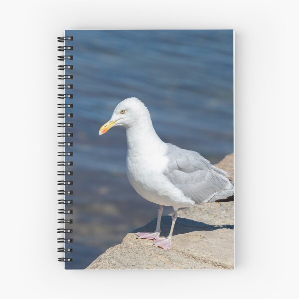 Item preview, European Herring Gull Adult designed and sold by Tanya C  Smith.