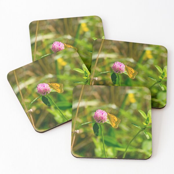 Item preview, Clouded Sulphur Butterfly designed and sold by ZunaidKhan.