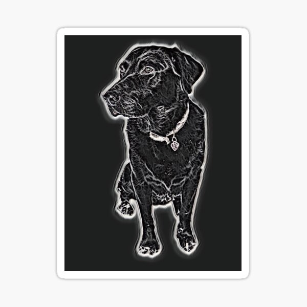 Black lab outlet gifts