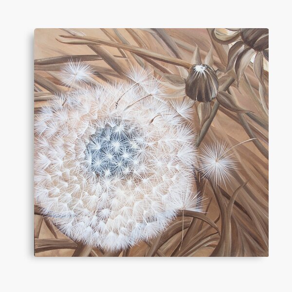 Sepia dandelion seed Canvas Print