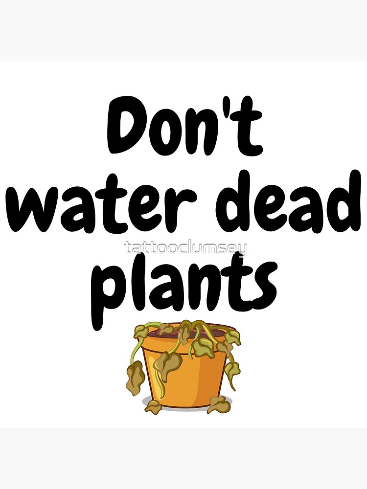 "Don't water dead plants" Poster for Sale by Louise Rouse Redbubble