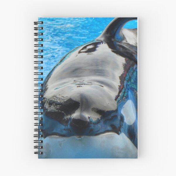 Item preview, Tilikum at SeaWorld designed and sold by Aranza  Fulford.