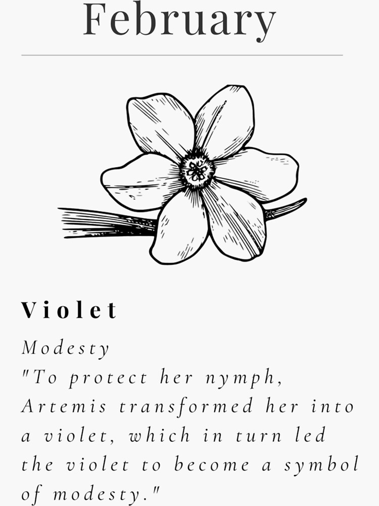 "Minimalistic Birth flower February Violet flower meaning Modesty