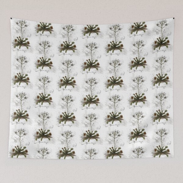 Item preview, Venus Fly Trap , botanical illustration designed and sold by RetroUrsula.