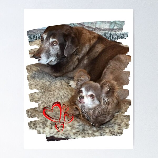 Item preview, Charlie&Lucy designed and sold by DeezFunThingz.
