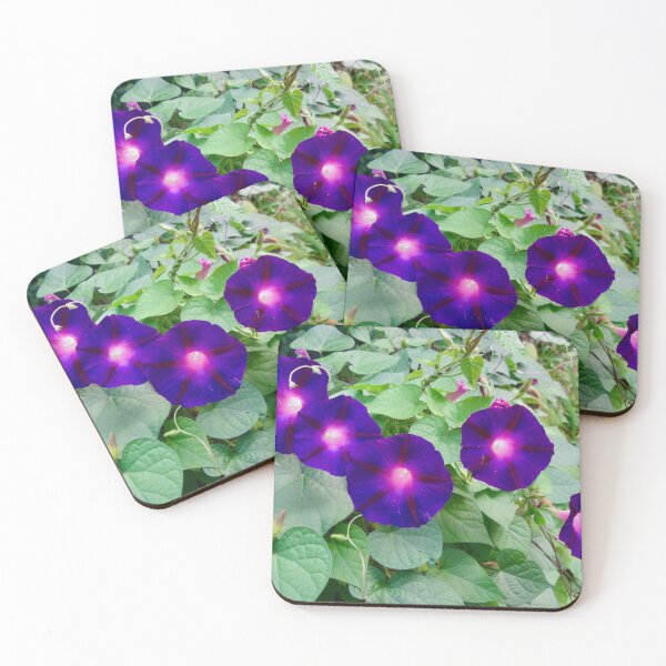 Item preview, Purple Morning Glories designed and sold by Shulie1.