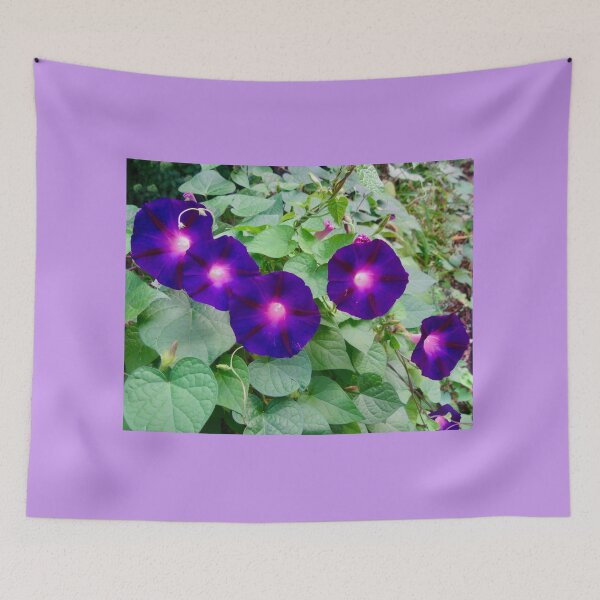Item preview, Purple Morning Glories designed and sold by Shulie1.