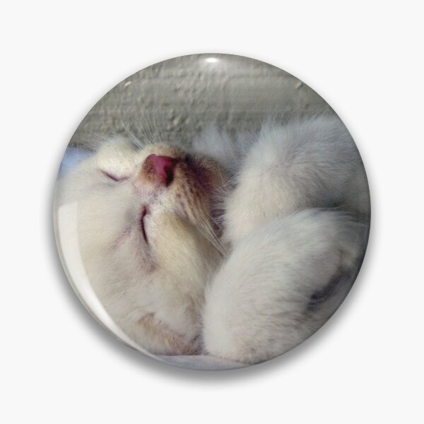 Item preview, Sleepy Kitten designed and sold by Frankie Cat Photography.