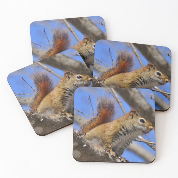 Item preview, Red squirrel over look designed and sold by enchantedvibes.