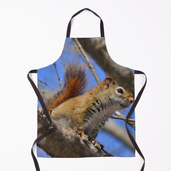 Item preview, Red squirrel over look designed and sold by enchantedvibes.