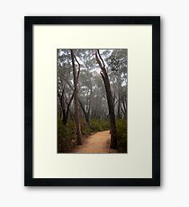 Rainforrest Framed Print