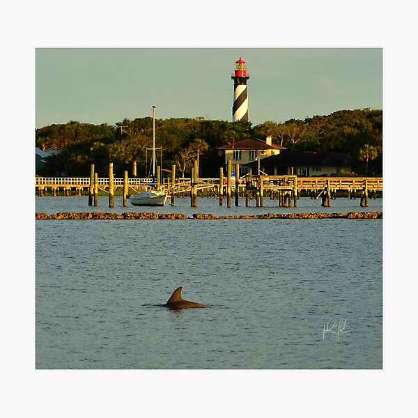 Item preview, St Augustine Lighthouse and Dolphin designed and sold by johnlackphotos.