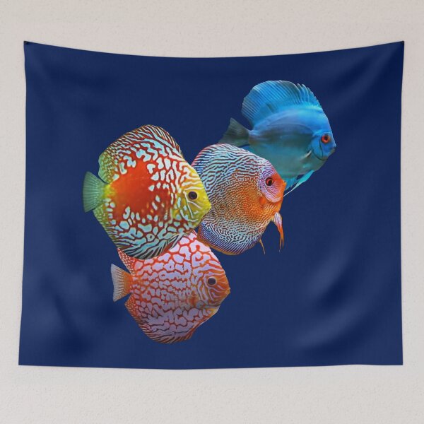 Item preview, DISCUS FISH AQUARIST designed and sold by Danicus666.