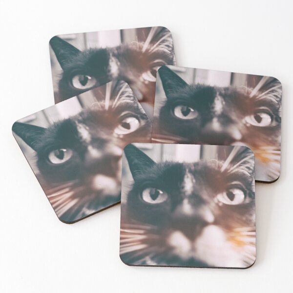 Item preview, photo cat Jagoda #photo #cat designed and sold by JBJart.