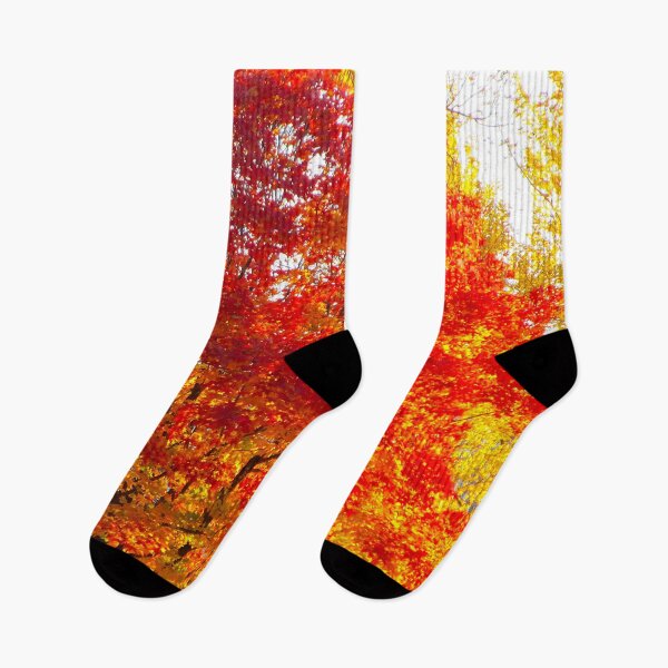 Item preview, Orange Maple Tree Photography Yellow Trees Autumn Woods Fall designed and sold by Siela.