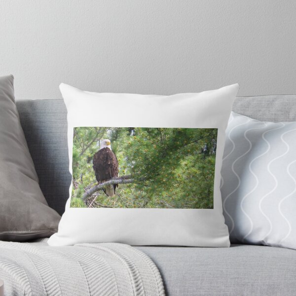 Item preview, Bald Eagle in Pine Tree (#2) designed and sold by Debbie Center.