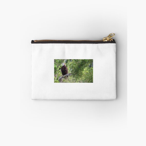 Item preview, Bald Eagle in Pine Tree (#2) designed and sold by Debbie Center.
