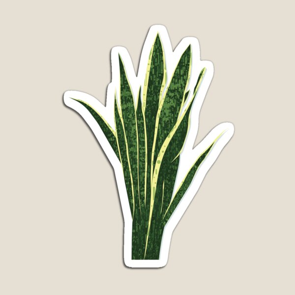 Snake Plant Magnet