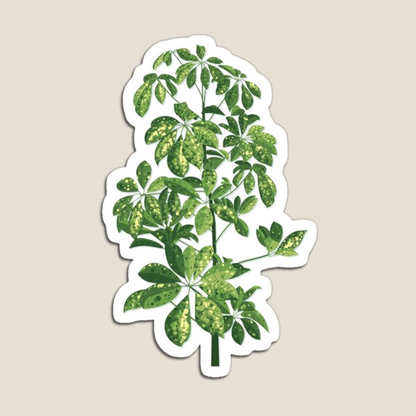 Starleaf plant Magnet
