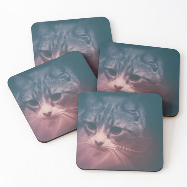 Artikelvorschau, Foto Katze Stefan #photo #cat entworfen und verkauft von JBJart.