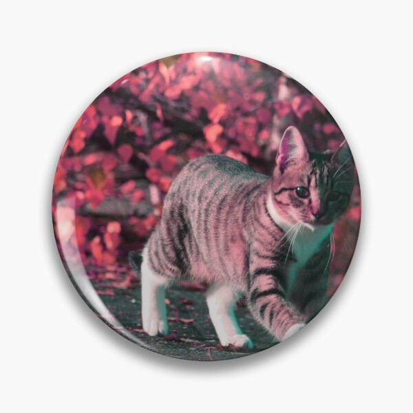 Item preview, La mejor fotografía de gatos designed and sold by Amadej.