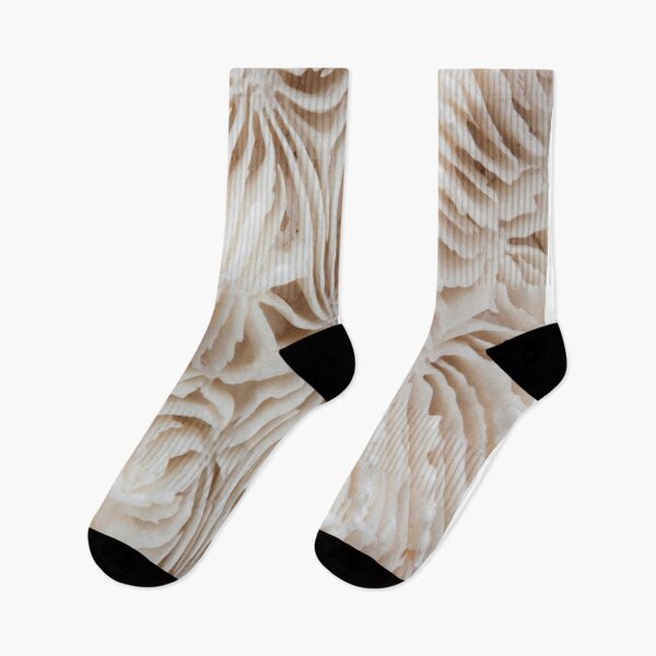 Item preview, Oyster Mushroom designed and sold by MUZA9.