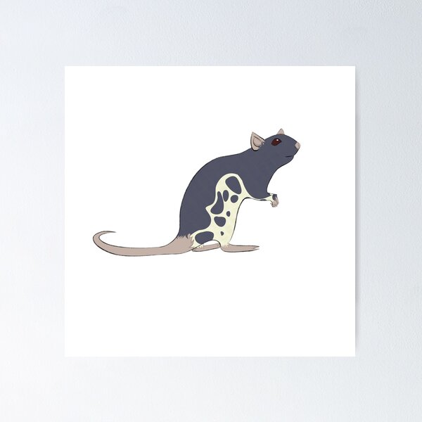 Artikelvorschau, Blaue Berkshire-Ratte entworfen und verkauft von RatRancid.