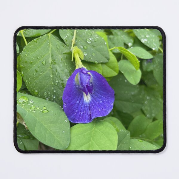 Item preview, Violet Flower Blossom designed and sold by RED by Arcanum Studio.