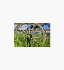USA Kauai cartwheel cartwheel cartwheel Art Board
