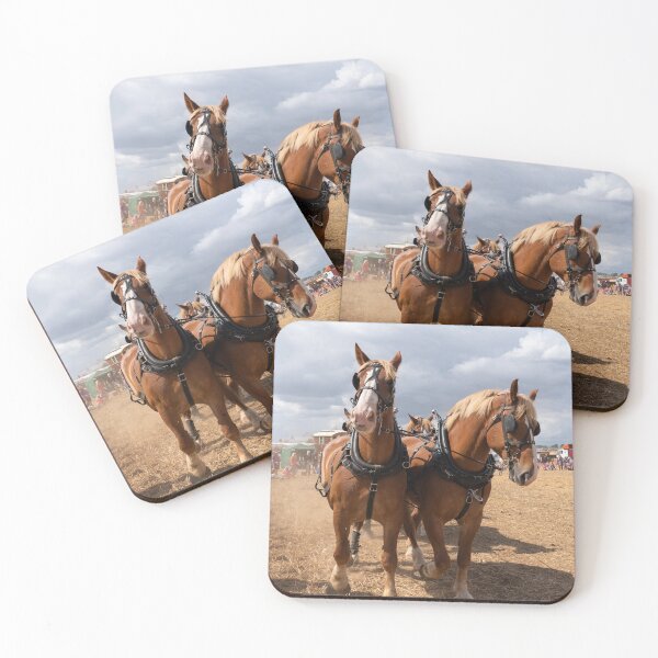 Item preview, Belgian Beauties  designed and sold by hawkie.