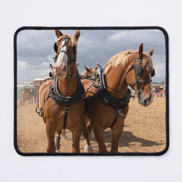 Item preview, Belgian Beauties  designed and sold by hawkie.