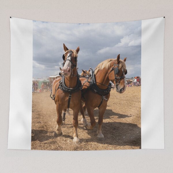Item preview, Belgian Beauties  designed and sold by hawkie.