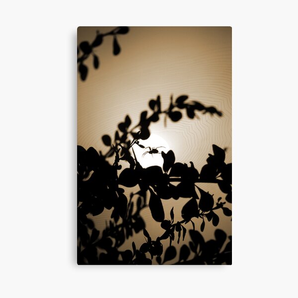 Light into the hunter' eyes Canvas Print