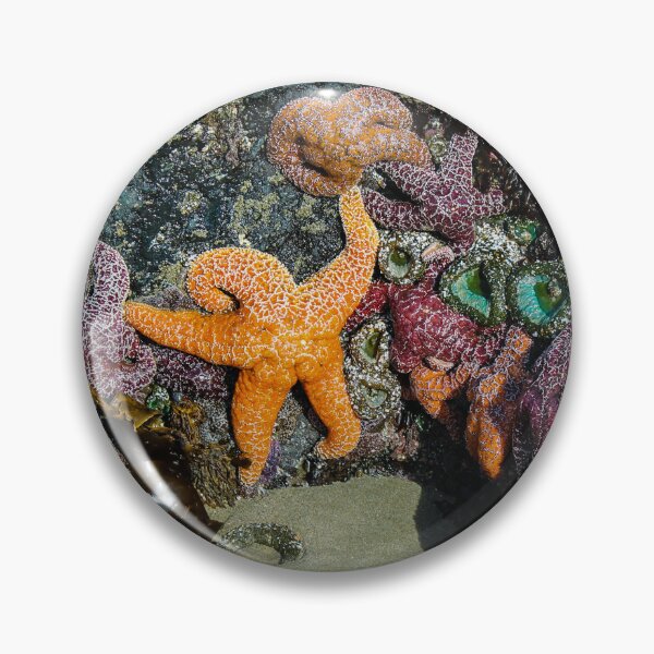 Item preview, Star Light, Star Bright designed and sold by DebraBarnes.